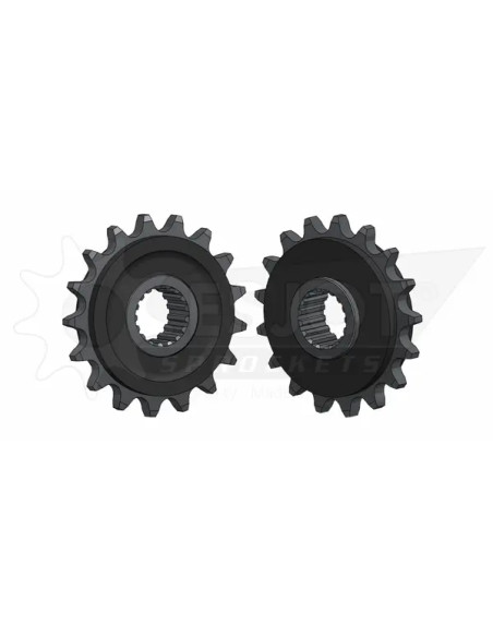ESJOT Ritzel & Kettenräder für BMW F 800 GS ABS 2008-2019