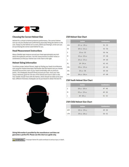 Z1R Dual Sport Bild 4
