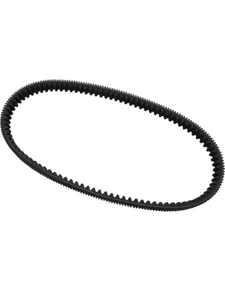 DAYCO PRODUCTS LLC Riemen für POLARIS RMK 800 2002-2011