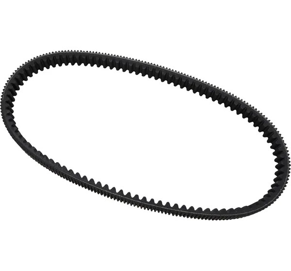 DAYCO PRODUCTS LLC Riemen für POLARIS RMK 800 2002-2011