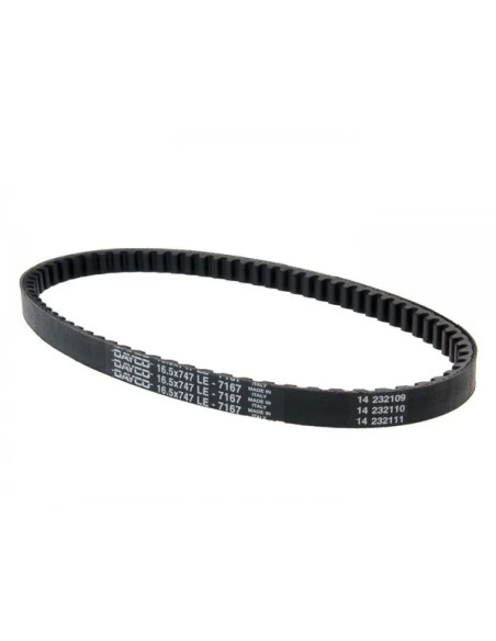 DAYCO PRODUCTS LLC Riemen für BETA ARK 50 AC 1997-2014