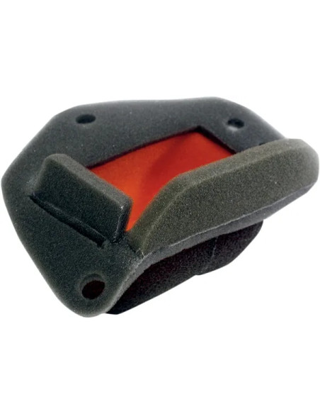 TWIN AIR Luftfilter & Reiniger für BMW G 650 XCHALLENGE 2007-2009
