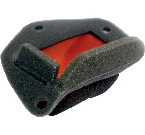 TWIN AIR Luftfilter & Reiniger für BMW G 650 XCHALLENGE 2007-2009