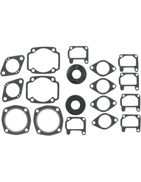VERTEX Dichtungen & Öldichtungen für ARCTIC CAT PANTHER 440 1971-1975