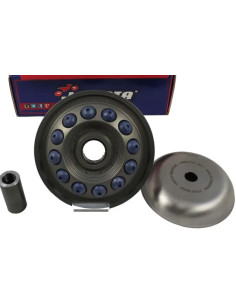 PRO Series Variator