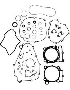 Komplettes Dichtungssatz mit Wellendichtringen