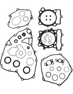 Komplettes Dichtungssatz mit Wellendichtringen