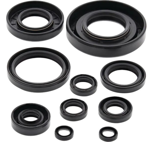 MOOSE OFFROAD Dichtungen & Öldichtungen - Oil Seal Kit