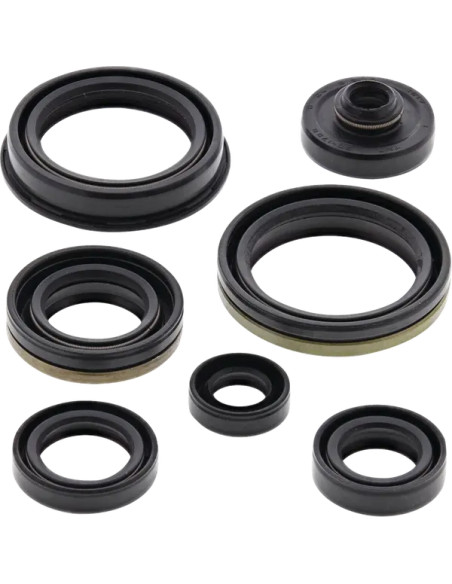 MOOSE OFFROAD Dichtungen & Öldichtungen - Oil Seal Kit