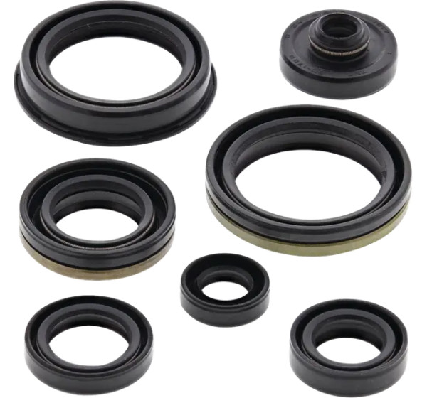 MOOSE OFFROAD Dichtungen & Öldichtungen - Oil Seal Kit