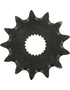 Vorderes Ritzel