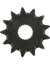 Vorderes Ritzel