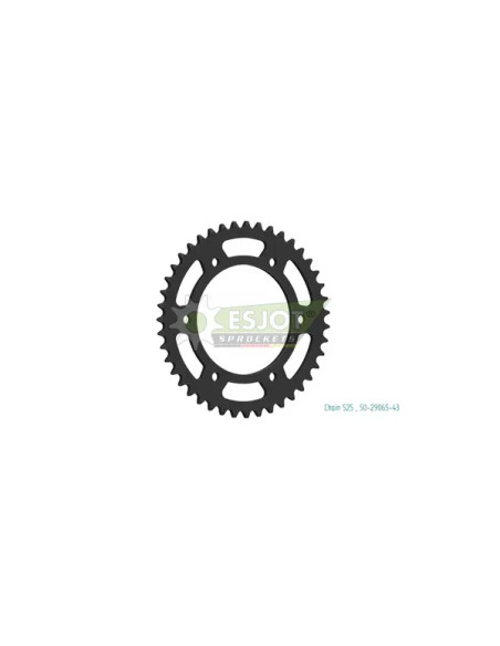 ESJOT Ritzel & Kettenräder für QJMOTOR SRV 550 ABS 2023-2024