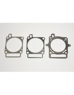 ATHENA RACE Dichtungssatz