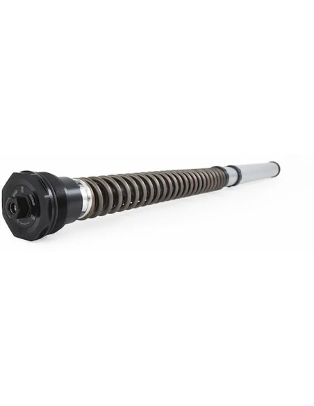 OHLINS Federung vorne Bild 7