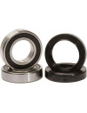 Gabeldichtring-/Staubdichtring-Kit