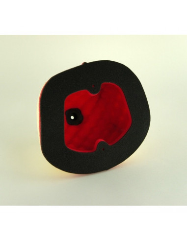 DT-1 RACING EUROPE EVOLUTION dreilagig Luftfilter HONDA Bild 2 DT-1 RACING EUROPE EVOLUTION dreilagig Luftfilter HONDA Bild 2