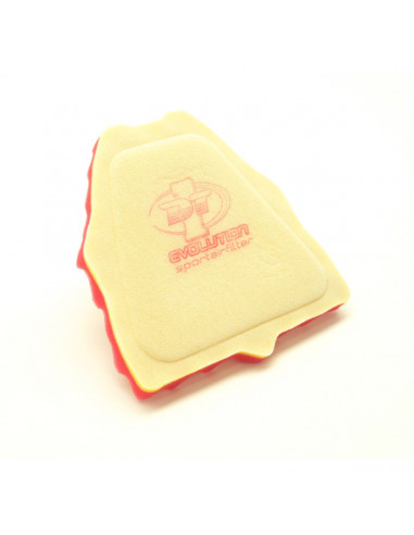 DT-1 RACING EUROPE STANDARD ZWEISCHICHTLUFTFILTER Bild 2 DT-1 RACING EUROPE STANDARD ZWEISCHICHTLUFTFILTER Bild 2