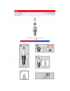 CHAMPION S-PLUG 8810