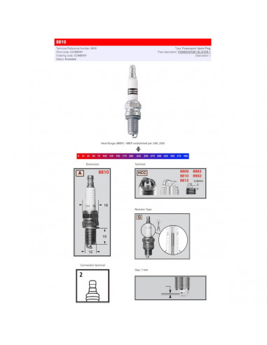 CHAMPION S-PLUG 8810