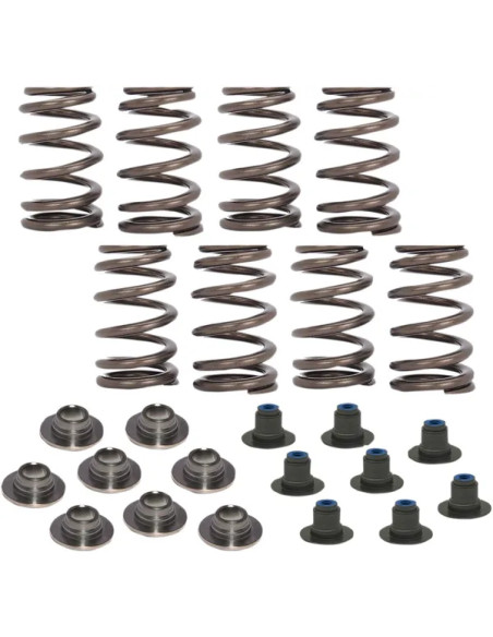 COMP CAMS Ventilsteuerung für Harley Davidson FLHTK 1868 ABS 2019-2024