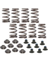 Beehive Ventilfeder-Kit