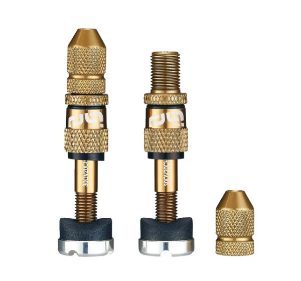 E*THIRTEEN Schlauchlosreifen & Zubehörteile - SCHRADER QUICKFILL 16-24 BRONZ