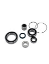 Servicekit Giant SyncDrive Core Motor