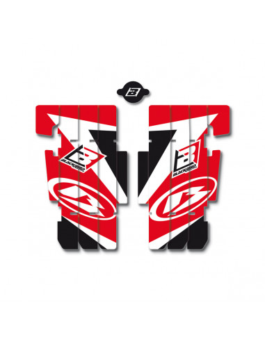 BLACKBIRD RACING DREAM 3 Kühlerschutz (plastik) Aufkleber BETA Bild 2 BLACKBIRD RACING DREAM 3 Kühlerschutz (plastik) Aufkleber BETA Bild 2