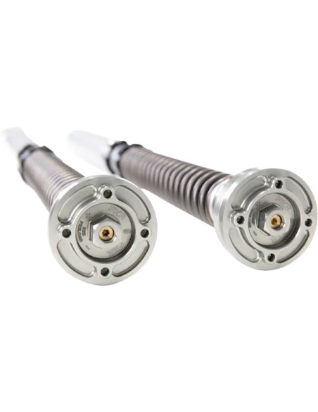 OHLINS Federung vorne Bild 5