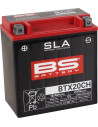 SLA Factory-Activated AGM Wartungsfreie Batterie