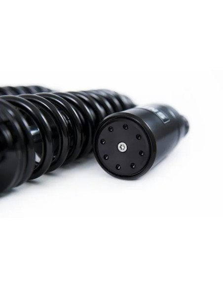 OHLINS Federung hinten - Detailansicht