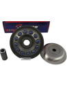 PRO Series Variator