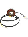 Stator für Polaris