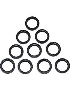 Gabeldichtringe/Staubdichtringe, 10er-Pack