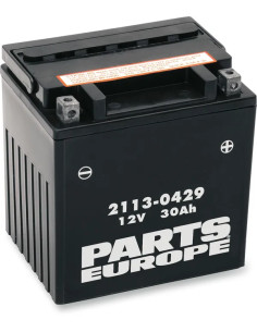 Parts Europe Batterie