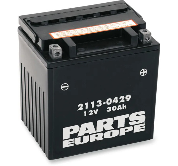 PARTS EUROPE BATTERIES Batterien für BMW R 80 RT 1982-1994