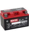 SLA Factory-Activated AGM Wartungsfreie Batterie