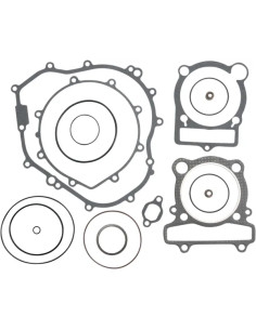 Komplettes Dichtungssatz