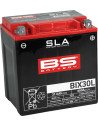 SLA Factory-Activated AGM Wartungsfreie Batterie