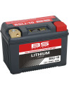 Lithium LiFePO4 Batterie