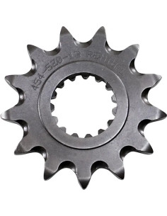 Vorderes Ritzel