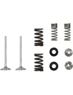 Auspuffventil- und Feder-Kit