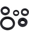 Wellendichtring-Kit