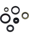 Wellendichtring-Kit