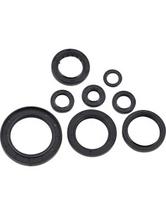 Wellendichtring-Kit