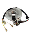 Stator