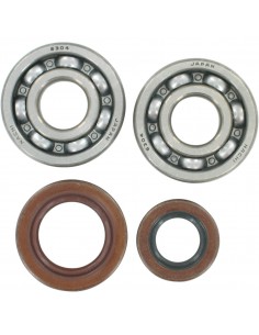 HOT RODS HAUPTLAGER & DICHTUNGSSET KTM