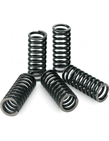 PRO CIRCUIT KUPPLUNGSFEDERN Bild 2 PRO CIRCUIT KUPPLUNGSFEDERN Bild 2