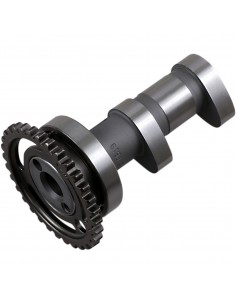 HOT CAMS NOCKENWELLE AUSLASS